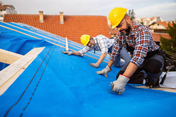 Professional Roofing Services in Putney, GA