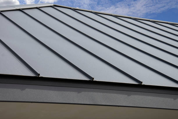 Best Roof Coating and Sealing  in Putney, GA